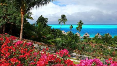 Tropical Paradise Getaway wallpaper