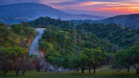 Scenic Road Through Verdant Hills in Bakersfield wallpaper