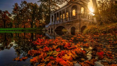 Autumn Tranquility by the Lakeside wallpaper