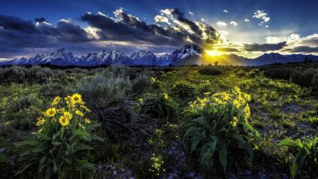 Breathtaking Sunrise at Grand Teton National Park wallpaper