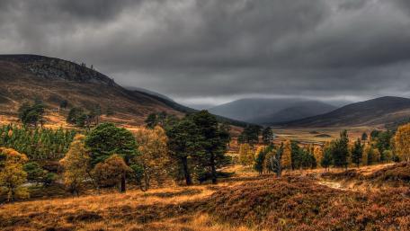 Majestic Autumn in Cairngorms National Park wallpaper