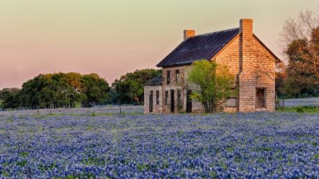 Bluebonnet Cottage Surrounded by Blooming Fields wallpaper