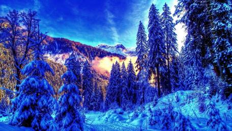 Enchanting Winter Blue Wilderness wallpaper