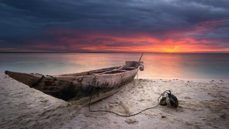 Serene Sunset by the Shoreline wallpaper