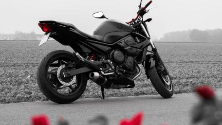 Yamaha XJ6 Serenity on the Open Road wallpaper