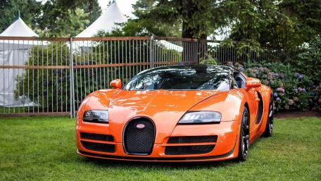 Orange Bugatti Splendor Amidst Greenery wallpaper