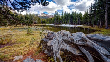 Majestic Mountain Reflections in Tranquil Wilderness wallpaper