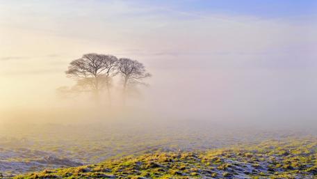 Misty Morning Embrace wallpaper