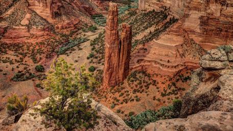 Majestic Spider Rock Rises from Canyon Floor wallpaper
