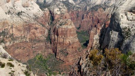 Majestic Canyon Views of Zion National Park wallpaper