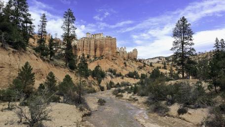 Spectacular Bryce Canyon Landscape in Utah's Wilderness wallpaper