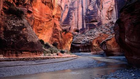 Majestic Canyons of Zion National Park wallpaper