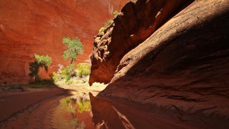 Majestic Canyon Reflections in Eroded Rock Formations wallpaper