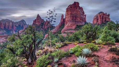 Red Rocks of Sedona at Dawn wallpaper