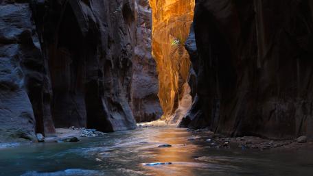 Majestic Beauty of The Narrows in Zion National Park wallpaper