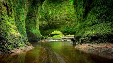 Mossy Enchantment at The Devil's Pulpit wallpaper
