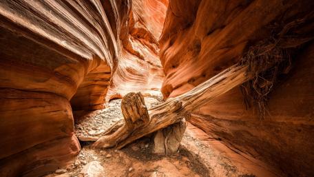 Antelope Canyon's Majestic Rock Formations and Textures wallpaper