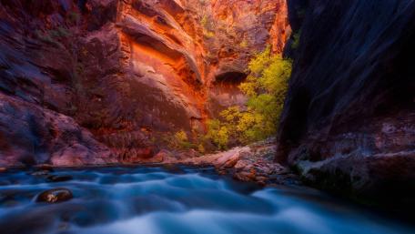 The Narrows Serenity Utah's Majestic Wilderness wallpaper