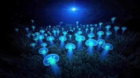 Glowing Coral wallpaper
