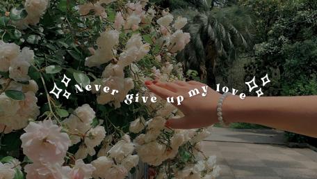 Never give up my love wallpaper