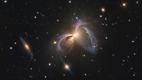 Wild Cosmic Symphony wallpaper
