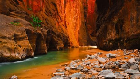 Majestic Beauty of The Narrows in Zion National Park wallpaper