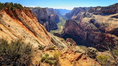 Golden Vista of Zion Canyons in Utah wallpaper