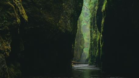 Mystical Beauty of Oneonta Gorge wallpaper
