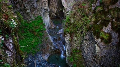 Serene Gorge with Flowing Stream in Lush Surroundings wallpaper