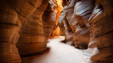 Majestic Path Through Sandstone Canyon wallpaper