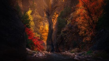 Mystical Autumn Canyon Glow wallpaper