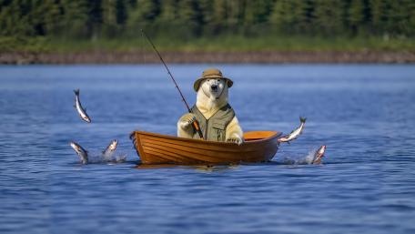 Polar Bear's Fishing Adventure wallpaper