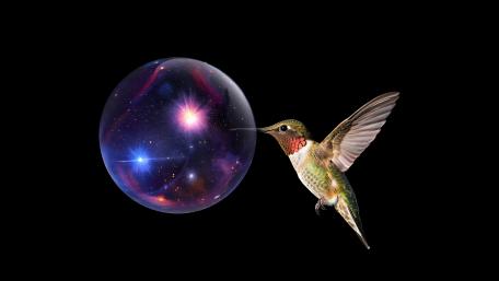 Hummingbird with Mini Universe wallpaper