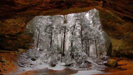 Snowy Cave View Among Majestic Trees in Winter Wonderlands wallpaper