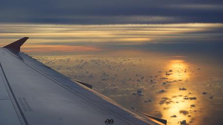 Wings Over the Golden Horizon wallpaper