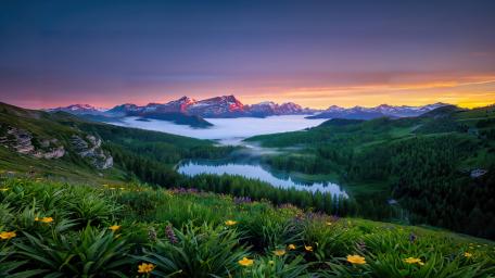 Scenic View wallpaper