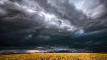 Stormy Skies Over Golden Prairie wallpaper
