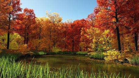Enchanted Autumn River Scene wallpaper