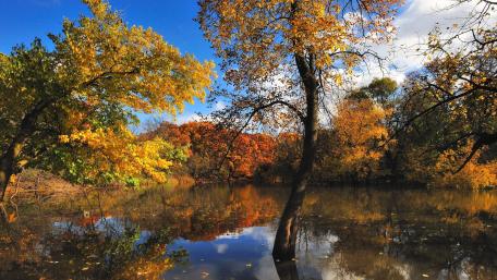 Autumn Serenity by the Lake wallpaper