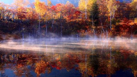 Autumn Serenity by the Lake wallpaper