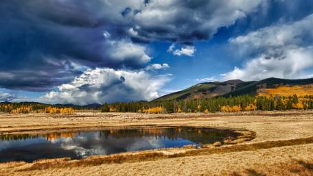 Golden Reflections by the Lakeside Wilderness wallpaper