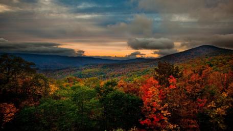 Autumn Tranquility in a Serene Valley wallpaper