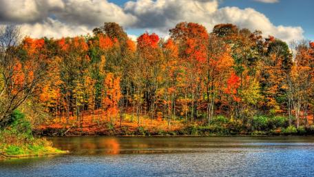 Autumn Serenity by the Tranquil Lake wallpaper