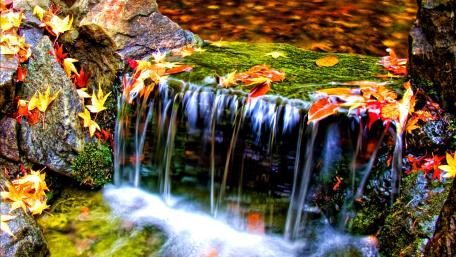 Serene Autumn Cascade in a Manmade Pond wallpaper