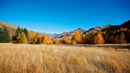 Golden Autumn in a Tranquil Valley wallpaper
