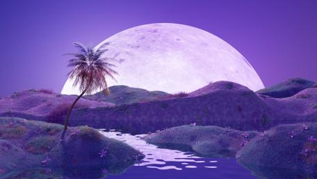 Moonlit Oasis in a Surreal Purple Dreamscape wallpaper