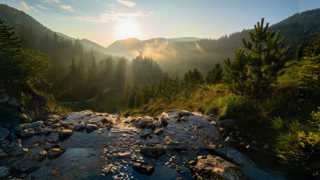 Sunlit Serenity Over Misty Mountains wallpaper