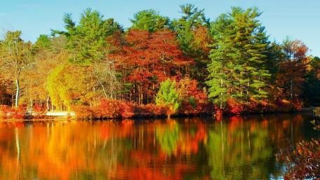 Autumn's Vibrant Symphony by the River wallpaper