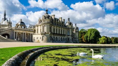 Château de Chantilly Serenity with Swans wallpaper