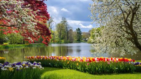 Springtime Serenity by the Lake wallpaper